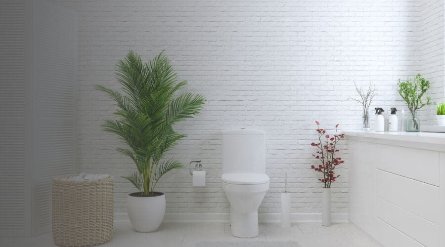Why choose Scottsdale Portable Toilets Rental for construction toilets in Scottsdale,az